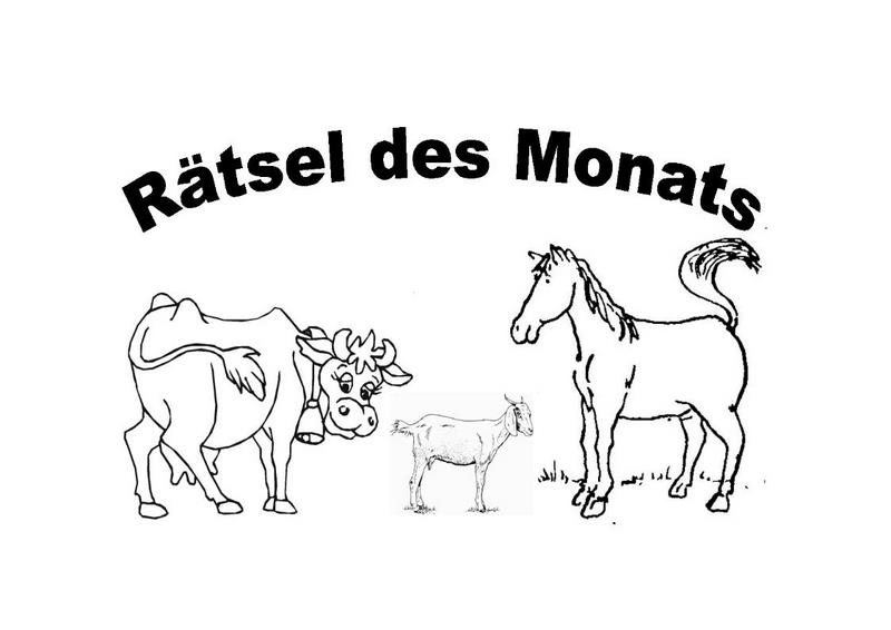 Rätsel des Monats
